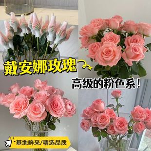 顺丰冷链新店促销戴安娜玫瑰花鲜花插花水养插花斗南基地云南鲜花