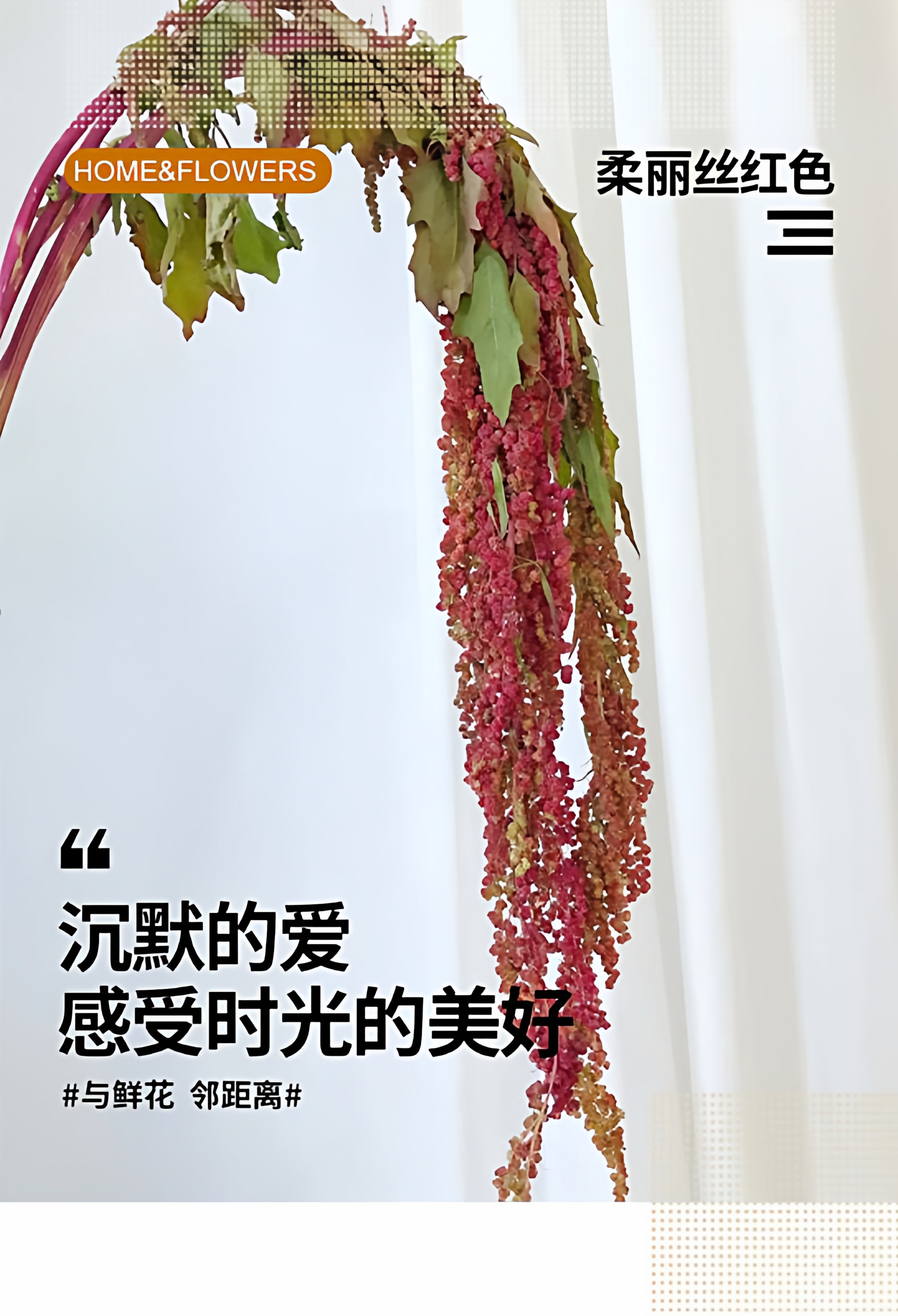 顺丰冷链柔丽丝吊米花家庭办公室水养插花婚庆用花商务用花