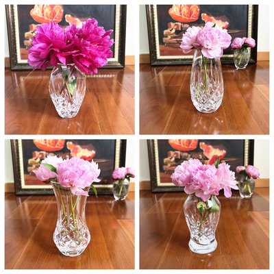 Waterford欧式水晶爱尔兰花瓶