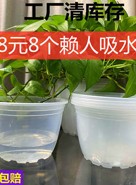 绿萝懒人自动吸水塑料盆栽