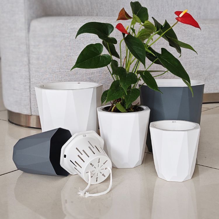 懒人花盆家用自吸水精致小轻奢高级感好看的无孔水培塑料网红花盆