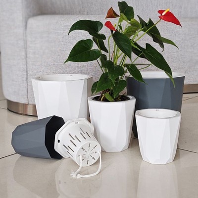 懒人花盆家用自吸水精致小轻奢高级感好看的无孔水培塑料网红花盆