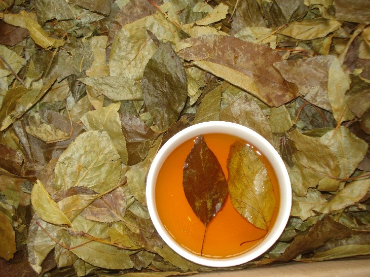神农架凉茶三皮罐500克包邮