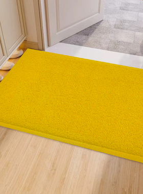黄色地垫入户门垫出入平安风水地毯金色地毡厨房家用进门丝圈脚垫