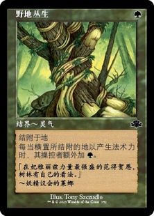 【铃铛卡牌】万智牌 简中 DMR 老框闪 野地丛生 日印