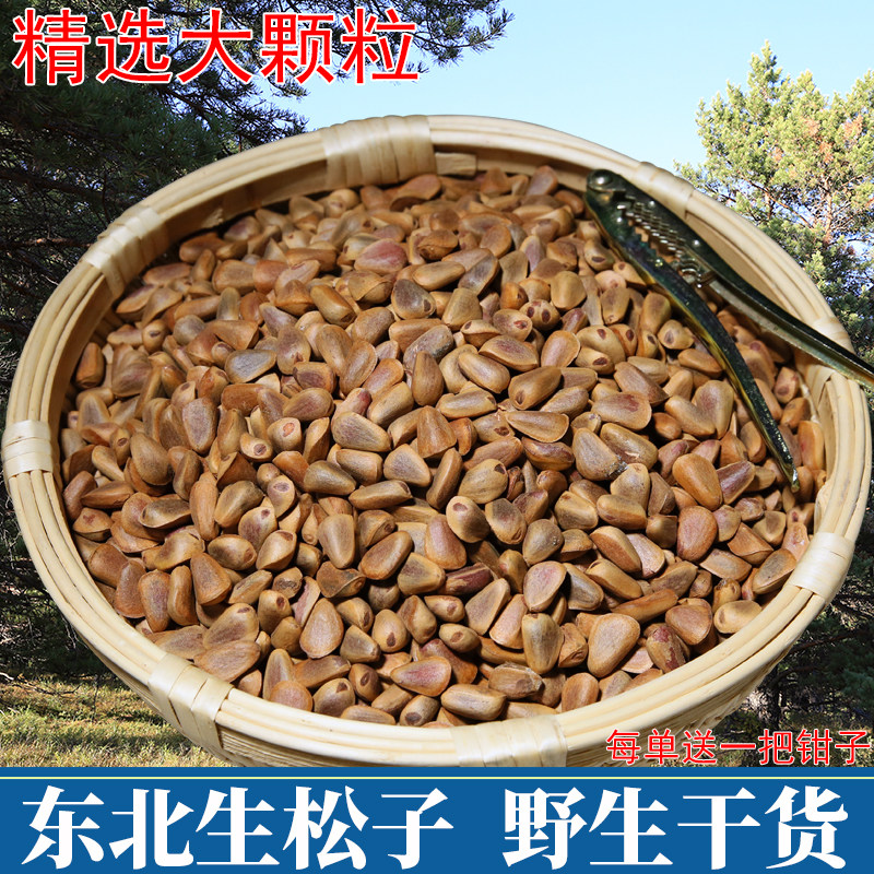 东北原味生松子松塔带松子特大号生松子新鲜东北松子不开口宠物粮