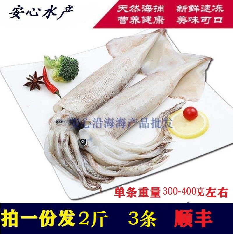 大连新鲜海捕大鱿鱼新鲜鱼2斤鲜活速冻整只爆头小管乌贼鱿鱼须头