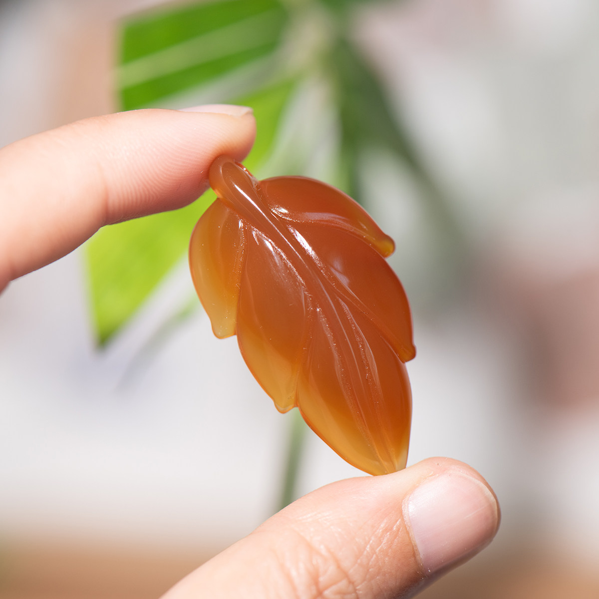 天然红玛瑙金枝玉叶吊坠