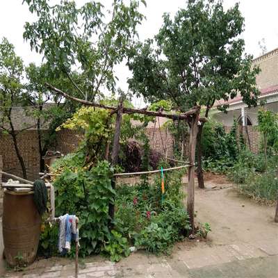 3d立体网红直播间主播视频背景布