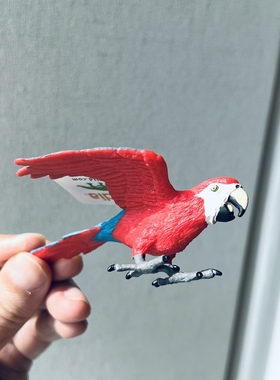 出口德国safa动物模型摆件鹦鹉