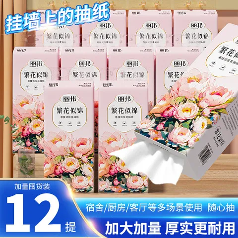 提擦手纸挂式卫生纸巾平板抽纸悬挂抽取式卫生纸大包厕纸家用丽邦