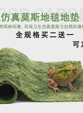 角蛙垫材莫斯雨林垫爬宠蛇守宫角蛙莫斯地毯陆龟垫材造景乌龟爬虫