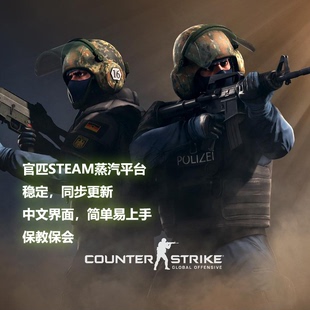 小白号永久体验卡 CSGO2瞄准之星鼠标宏辅助赠送官匹STEAM激活码