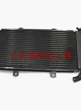 ER6N--总成-ER650R6N年06EX650配件水箱08冷水器Ninja6FER出口品