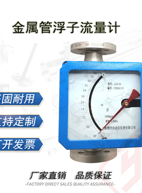 金属管浮子流量计LZZ系列LZD指针远传垂直水平安装4-20mA上海熠沃