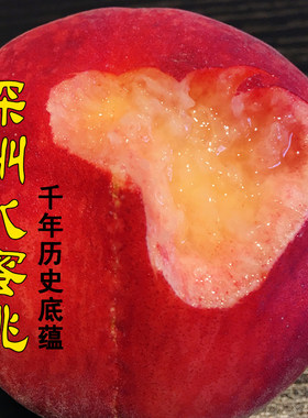 水蜜桃正宗深州马庄香甜多汁大桃子当季整箱时令现摘现发新鲜水果