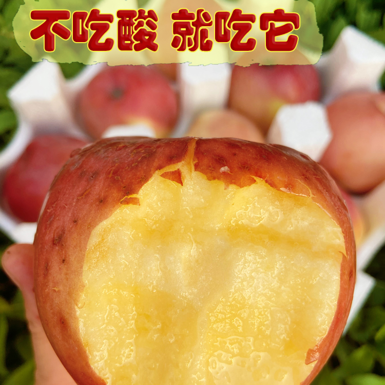 北海道大果纯甜苹果水果新鲜软甜老人孕妇宝宝爱吃酥嫩多汁丑苹果