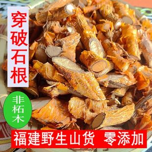 穿破石福建正宗野生药材地棉根九层皮500克包邮散装原材料干货