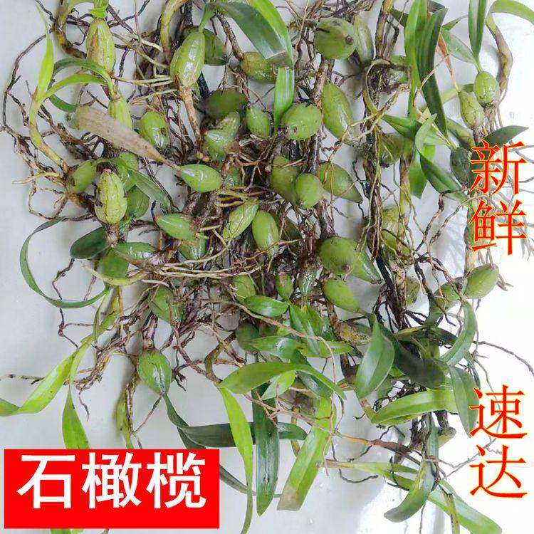 小号双叶石橄榄新鲜包邮炖汤草药煲汤配料石仙桃种植500g食用药材