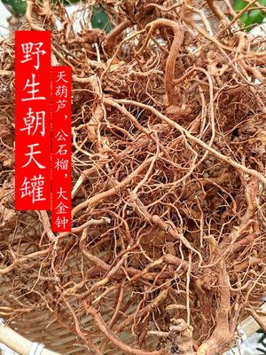 野生朝天罐天葫芦公石榴大金钟