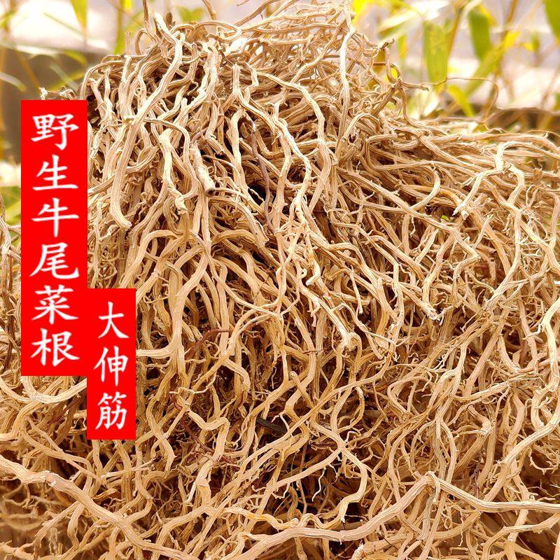 福建野生牛尾菜中草药材土春根大伸筋根老鼠尾 牛尾草500克包邮