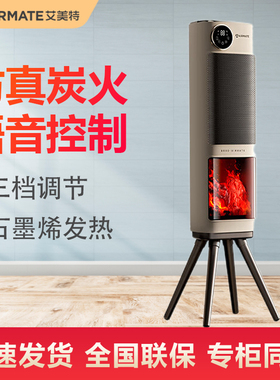 2025新款艾美特暖风机语音取暖器家用石墨烯电暖器壁炉HP21-K119