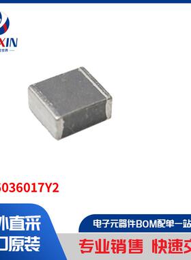 2506036017Y2 滤波器 铁氧体磁珠和芯片