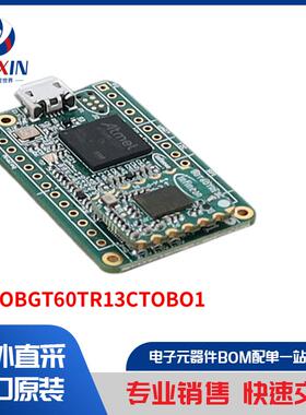 DEMOBGT60TR13CTOBO1 开发板，套件，编程器 评估板