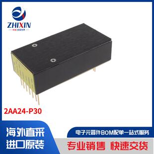 2AA24 板安装 电源 直流转换器 P30