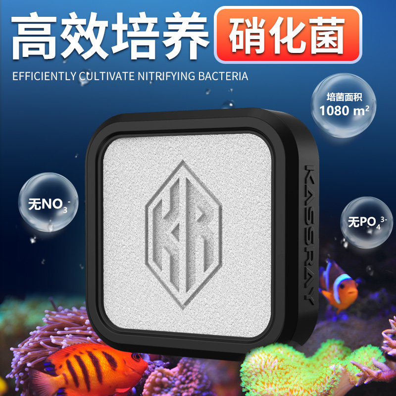 Kassray海水鱼缸珊瑚缸过滤材料神砖水族箱海缸培菌砖净化水质,宠物/宠物食品及用品,过滤材料,淘宝优惠券,粉丝福利购,淘宝优惠卷