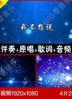 我不想说 伴奏原唱视频背景 带歌词
