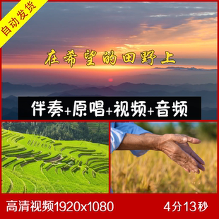 殷秀梅- 在希望的田野上 伴奏原唱视频背景 大屏幕背景