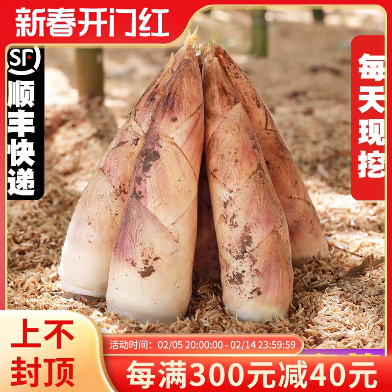 临安天目雷笋竹笋新鲜春笋现挖嫩芽笋冬笋鲜笋腌笃鲜嫩笋尖新鲜菜