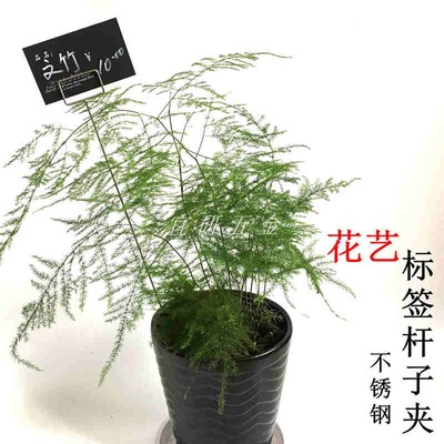 标价签夹子不锈钢杆子