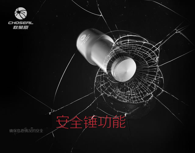 chargeur CHOSEAL 2A - Ref 1299696 Image 4