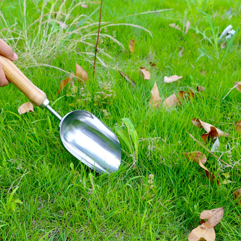 花小白 不锈钢木柄园艺大铲子肥料铲咖啡粮食铲花盆送土种花神器|ruв категории доставка цветов/цветок моделирования/растения садоводства, садовых принадлежностей, лопата/грабли/лопата/мотыга (новый), лопата - от Buy2taobao.com для оказания профессиональной услуги покупки агента Taobao