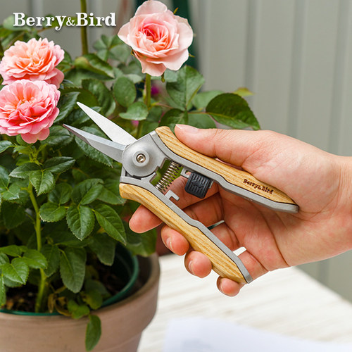 BerryBIrd迷你修枝剪小巧省力