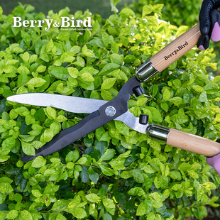 BerryBird绿篱剪花园绿化灌木篱笆草坪盆景造型修剪锋利耐用