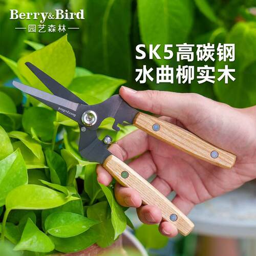 BerryBird木柄修枝剪家用绿植盆栽花园果蔬切花嫩枝粗枝修剪