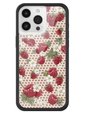 美国wildflower树莓波点Raspberry苹果iPhone15ProMax WF手机壳