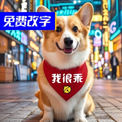 我很乖柯基宠物三角巾大狗萨摩围兜金毛围嘴哈士奇防水博美口水斤
