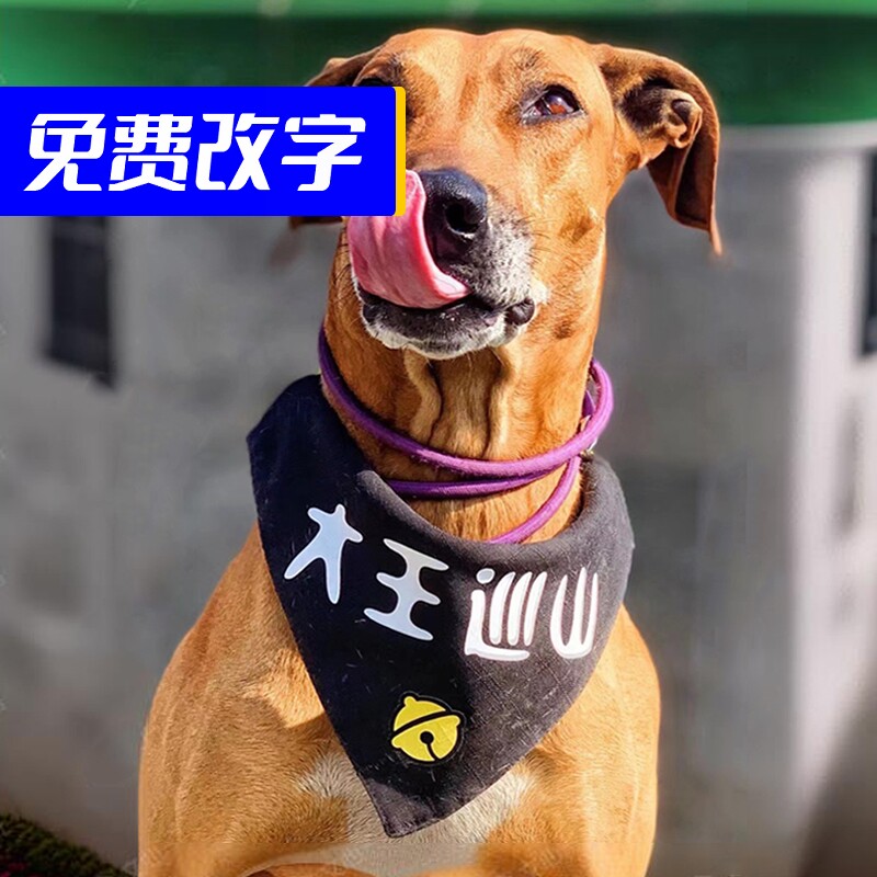 定制1-99斤宠物能用的文创三角巾