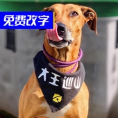 大王巡山宠物三角巾大型狗萨摩围兜金毛围嘴棉麻哈士奇防水口水巾