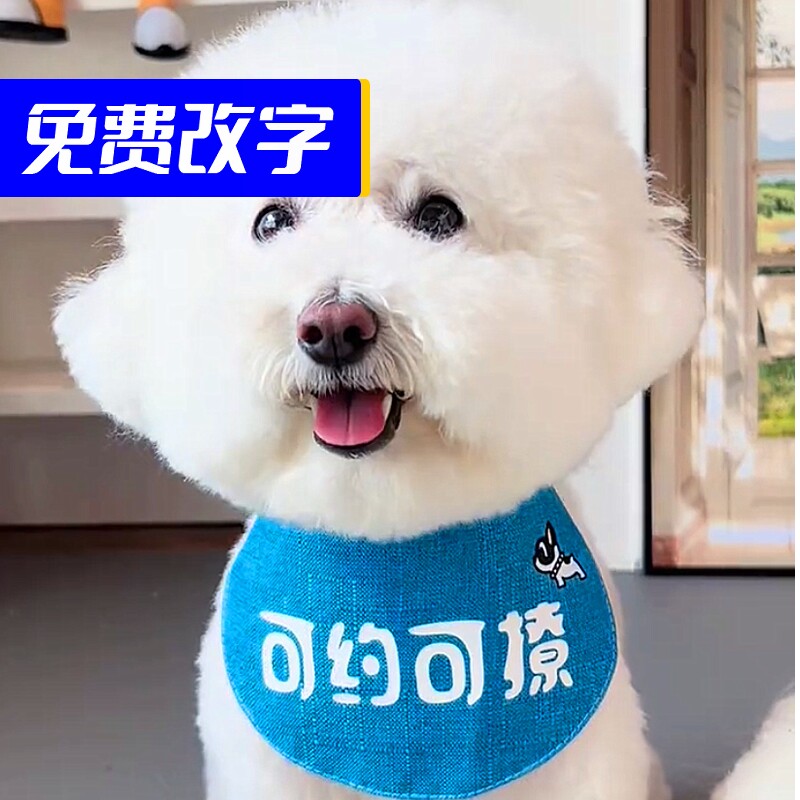 定做名字比熊三角巾猫咪狗狗围脖萨摩口水巾围巾手工围兜百搭领结