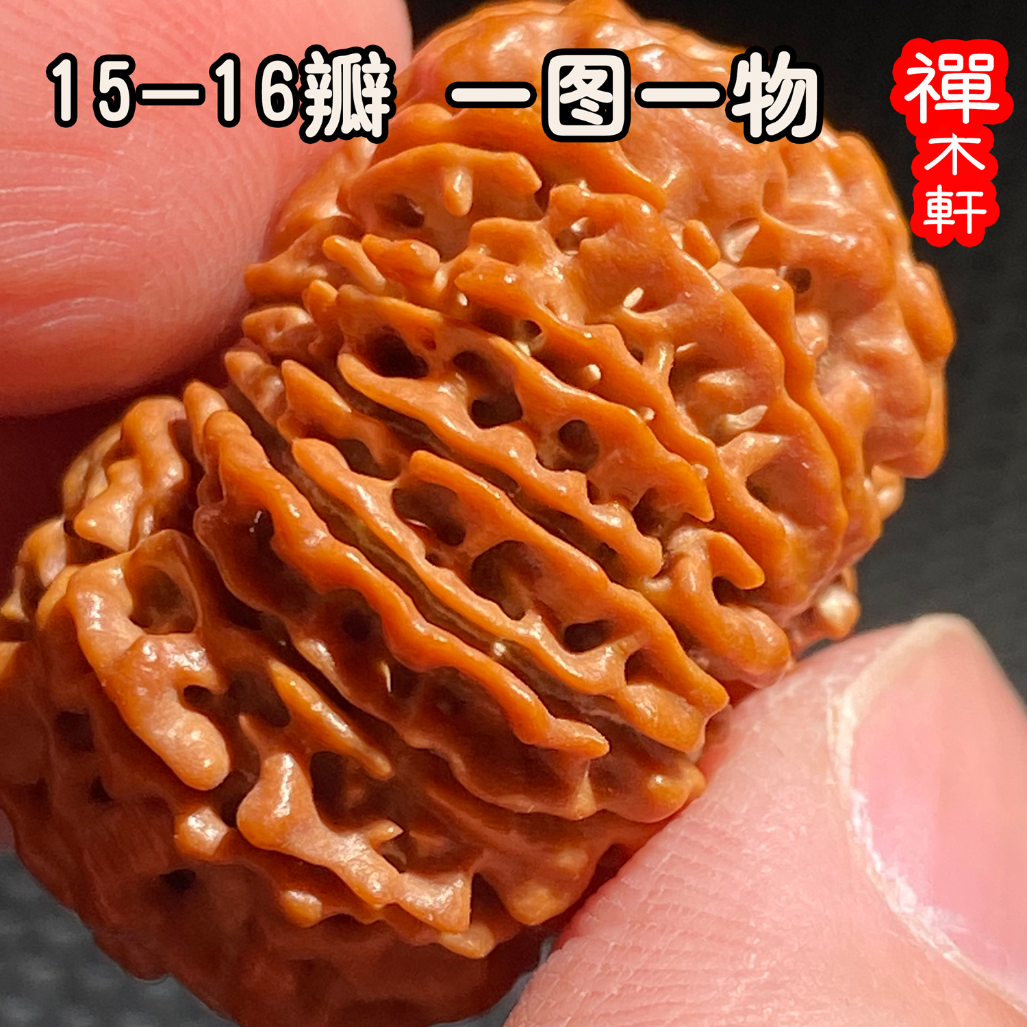 尼泊尔大金刚全家福手串菩提佛珠