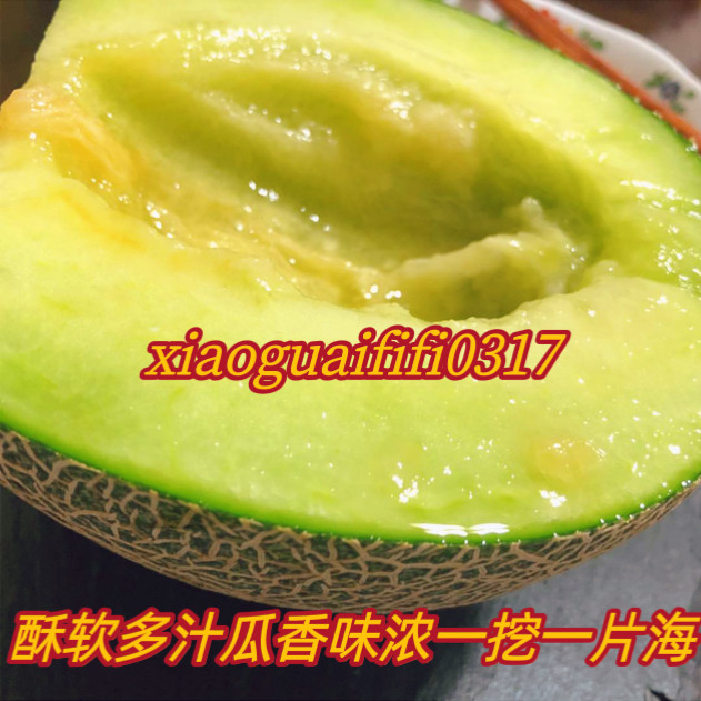 正宗玫珑瓜网纹蜜瓜冰淇淋哈密瓜酥软糯多汁香甜日本品种玲珑蜜瓜