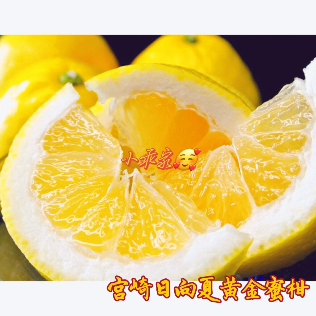 宫崎日向夏黄金蜜柑橘柚柑桔柚耳目一新的香气恰到好处的酸甜绝妙