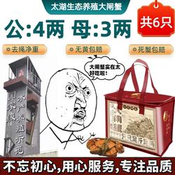 【活蟹】苏州太湖大闸蟹生态养殖公4两母3两共6只礼盒装鲜活螃蟹