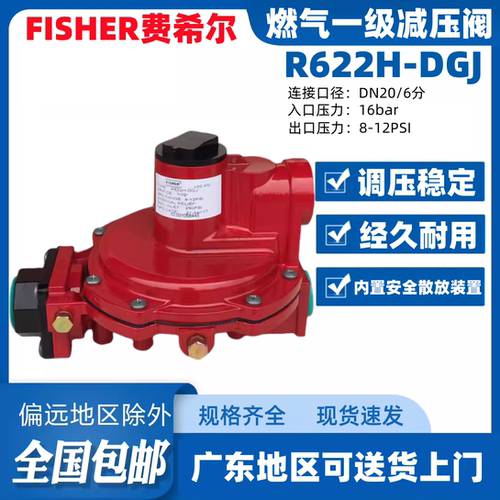 FISHER费希尔R622h-dgj