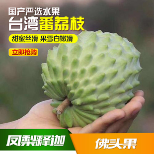 5斤 台湾凤梨释迦果 牛奶佛头果 新鲜水果 AP番荔枝 中大果 包邮